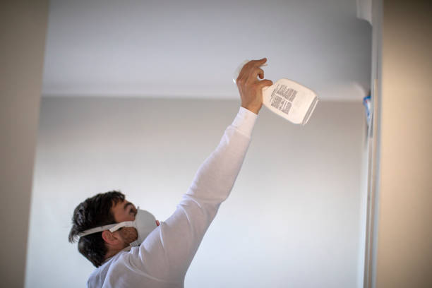 Mold Removal Process in Fountain Hills, AZ