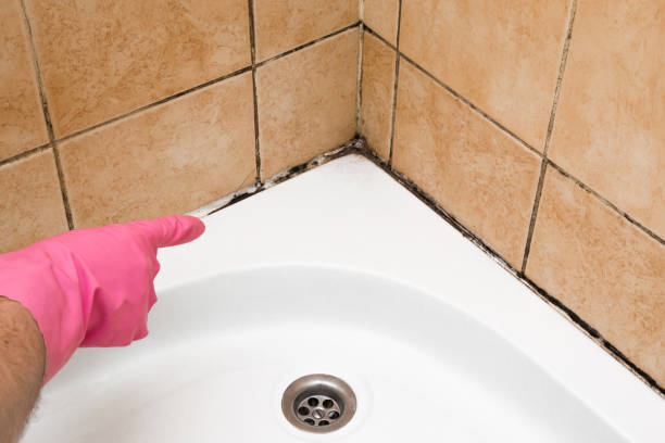 Best Mold Testing  in Fountain Hills, AZ